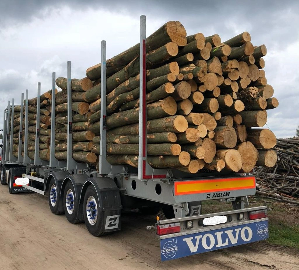 Naaldhout mix stamhout