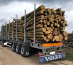 Gemengd Naaldhout Stamhout – 5 vrachtwagenladingen (250 rm) – PEFC-gecertificeerd