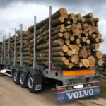 Gemengd Naaldhout Stamhout – 1/2 vrachtwagenlading (25 rm) – PEFC-gecertificeerd