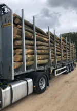 Gemengd Naaldhout Stamhout – 5 vrachtwagenladingen (250 rm) – PEFC-gecertificeerd - Afbeelding 2